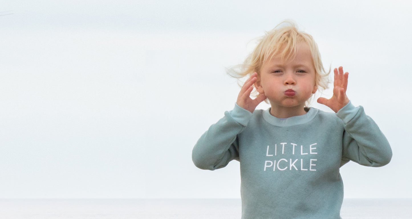 About Pickle UK