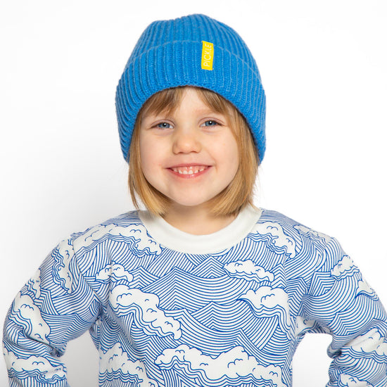 Pickle Blue Hat